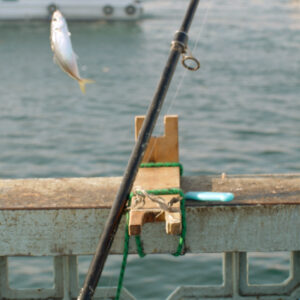 Caught A Fish on Galata